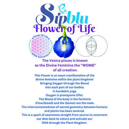 SipBlu's Flower Of Life